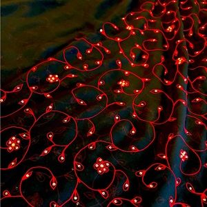 Black saree with red embroidery and mirror work